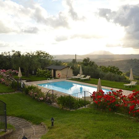 Villa Collebelvedere - Near Rome With Home Restaurant 法拉因萨比纳 外观 照片