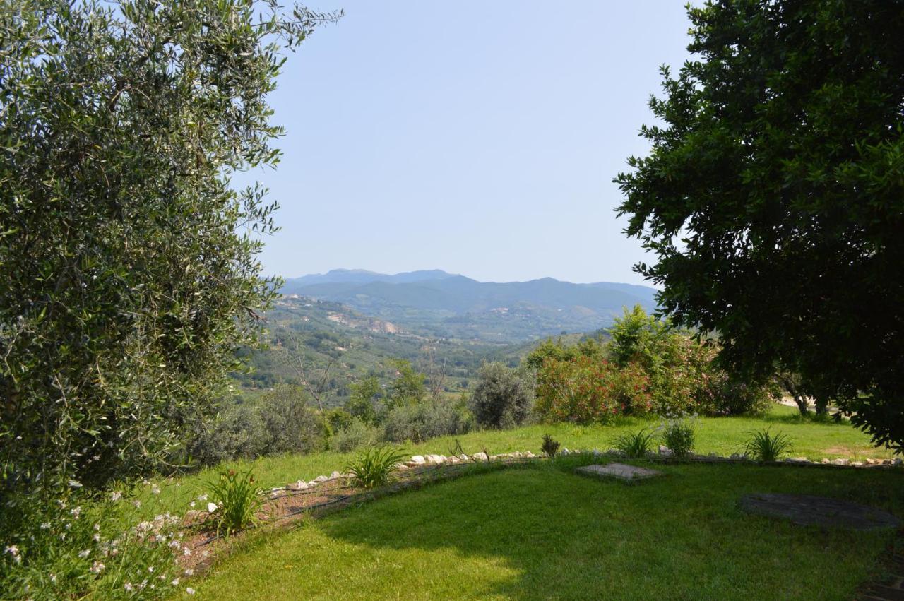 Villa Collebelvedere - Near Rome With Home Restaurant 法拉因萨比纳 外观 照片