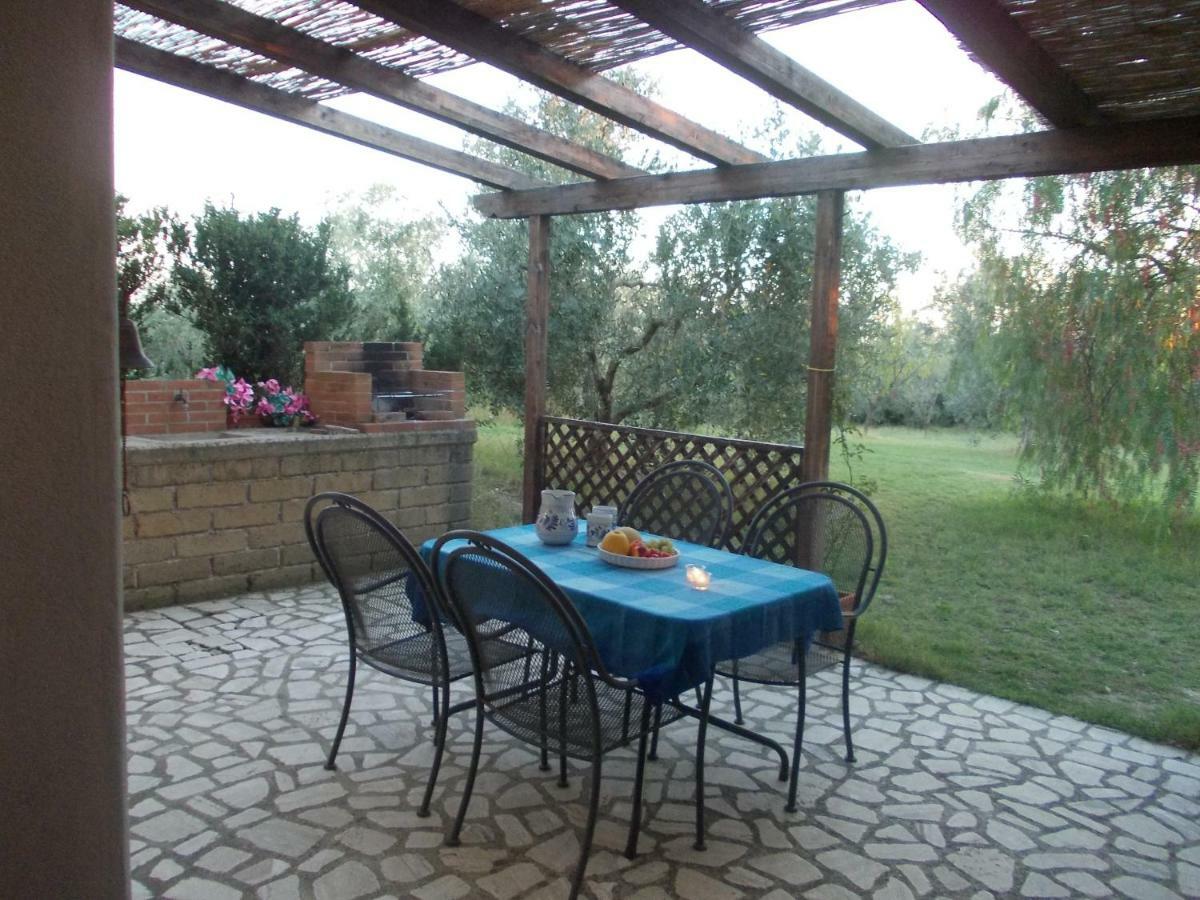 Villa Collebelvedere - Near Rome With Home Restaurant 法拉因萨比纳 外观 照片
