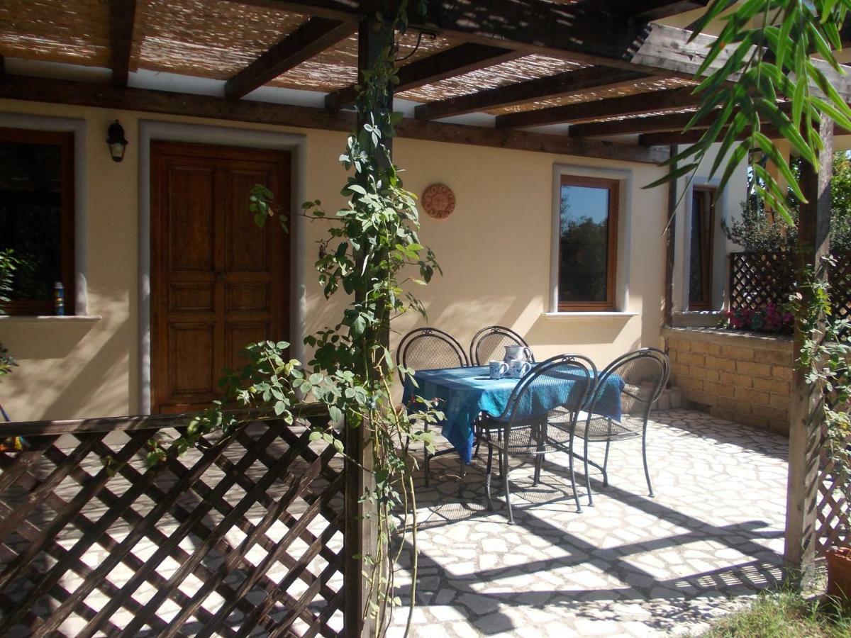 Villa Collebelvedere - Near Rome With Home Restaurant 法拉因萨比纳 外观 照片