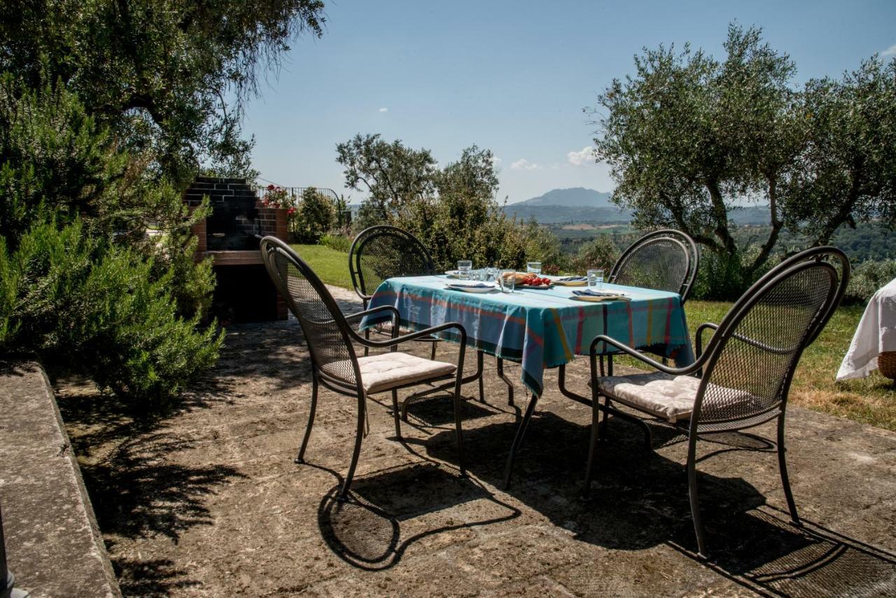 Villa Collebelvedere - Near Rome With Home Restaurant 法拉因萨比纳 外观 照片